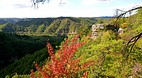 Kentucky