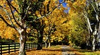 Kentucky