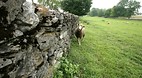 Kentucky