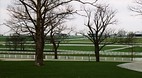 Lexington</span>