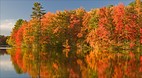 Maine