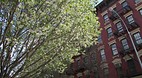 Manhattan