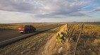 Marfa