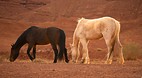 Monument Valley Nava..