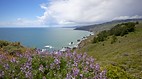 San Francisco Bay Ar..