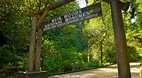 Muir Woods National ..
