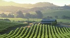 Napa Valley