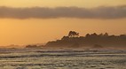 Oregon Coast
