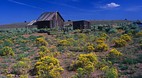 Oregon