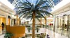 Orlando Accommodation
