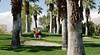 Palm Desert