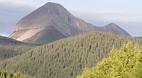 Salida
