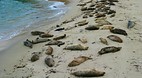 San Diego