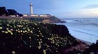 San Francisco Bay Ar..