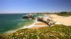 Santa Cruz
