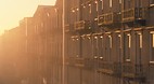 Savannah