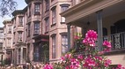 Savannah