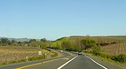 Sonoma