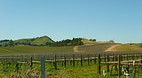 Sonoma