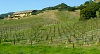 Sonoma