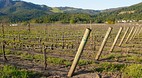 Sonoma