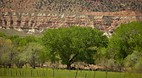 Springdale-Utah