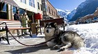 Telluride
