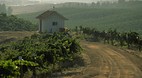Temecula Wine Countr..