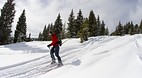 Vail