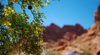 Valley Of Fire State..