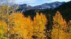 Utah
