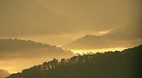 West Virginia
