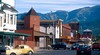 Whitefish