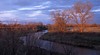Whitewater