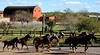 Wickenburg