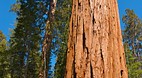 Yosemite National Pa..