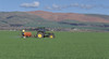 Aldinga