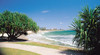 Alexandra Headland