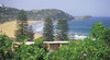 Avoca Beach