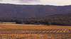 Avoca Victoria