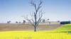 Bathurst