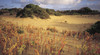 Coorong National Park
