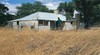 Cunderdin