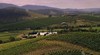 De Bortoli Winery