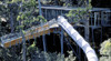 Dismal Swamp