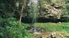 Dorrigo National Park