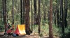 Dwellingup