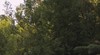 Evercreech Forest Reserve