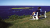 Five Islands Nature Reserve