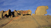 Flinders Chase National Park